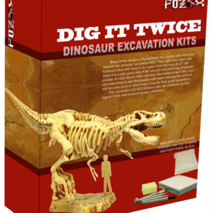 Dig it Twice Dinosaur Fossil Educational set