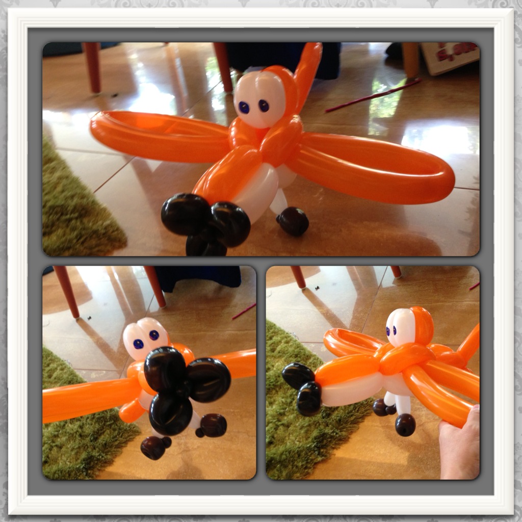 Plane balloon sculpting